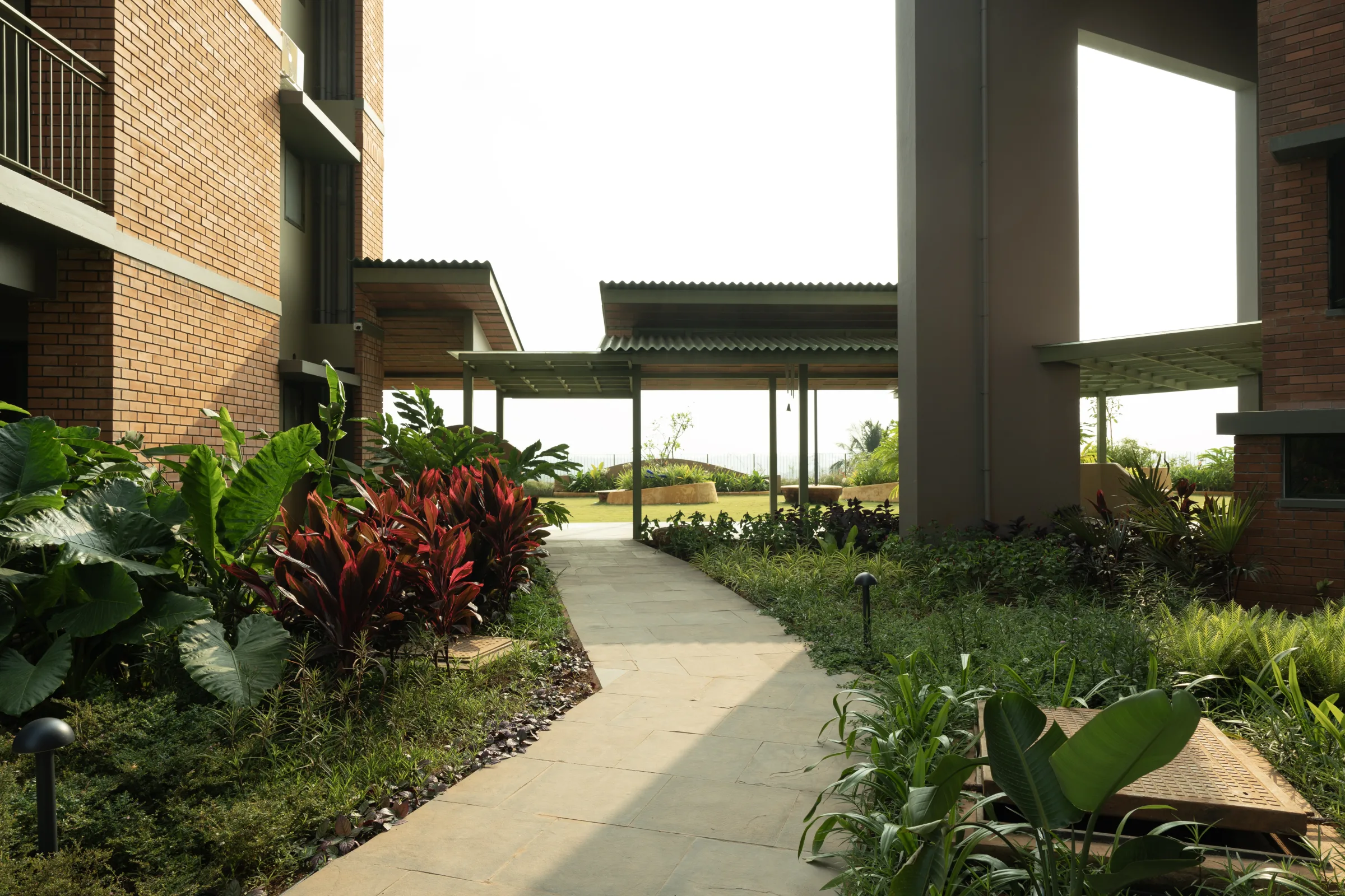 Barefoot on the Hills community