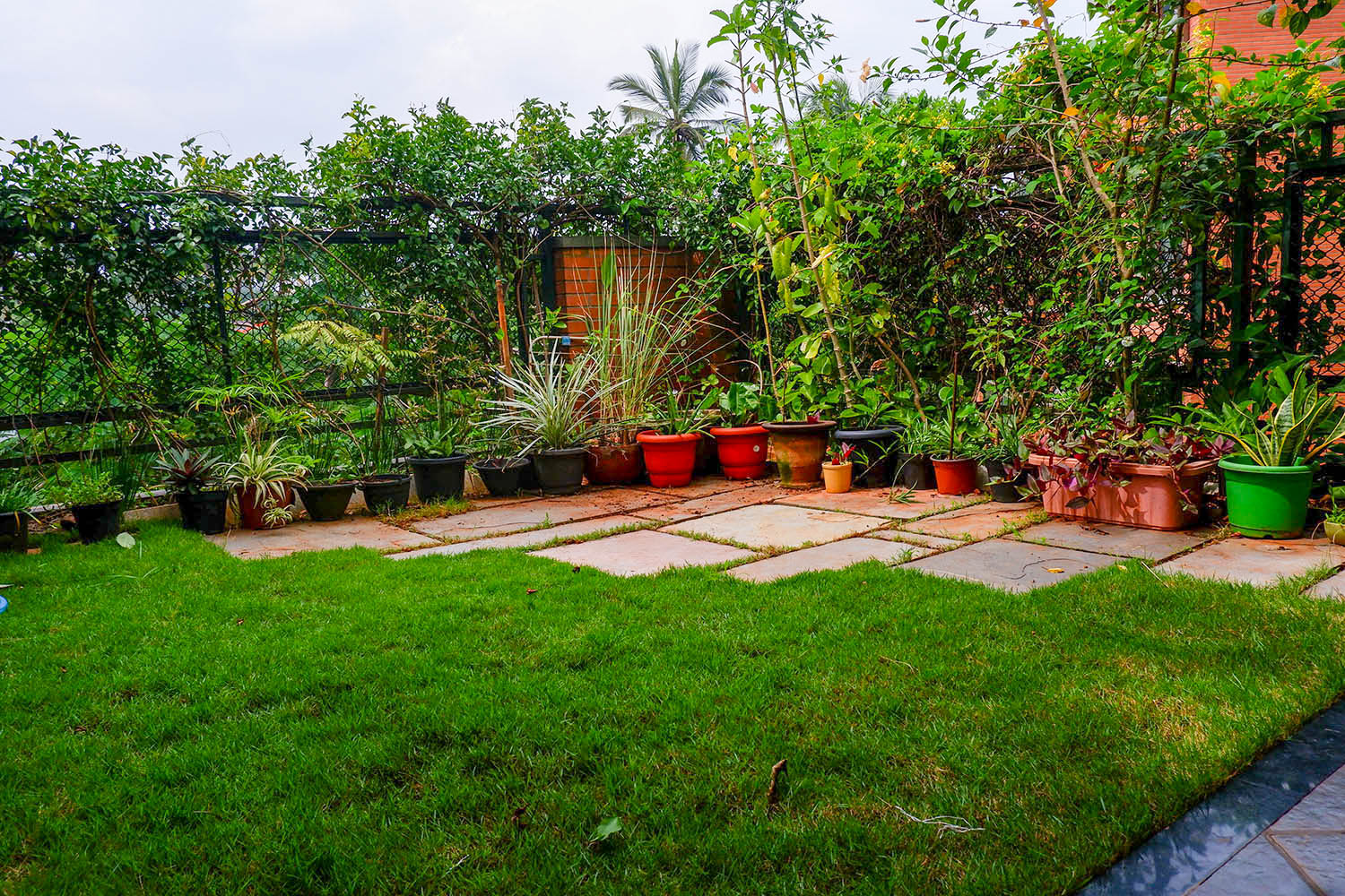 terrace-garden