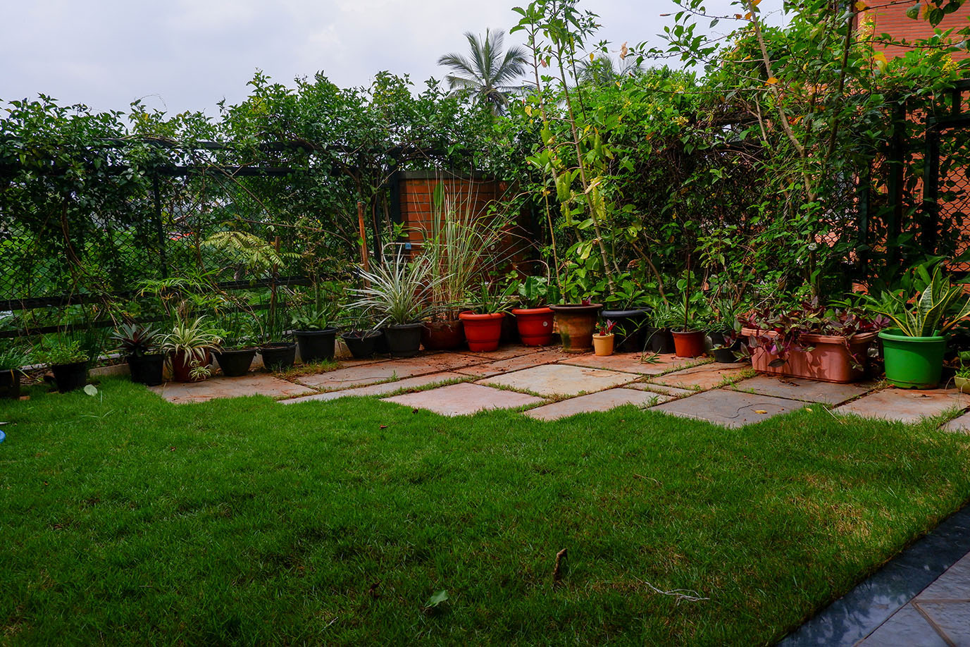 terrace-garden-image