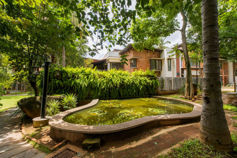 The Benefits of Rooftop Rainwater Harvesting GoodEarth