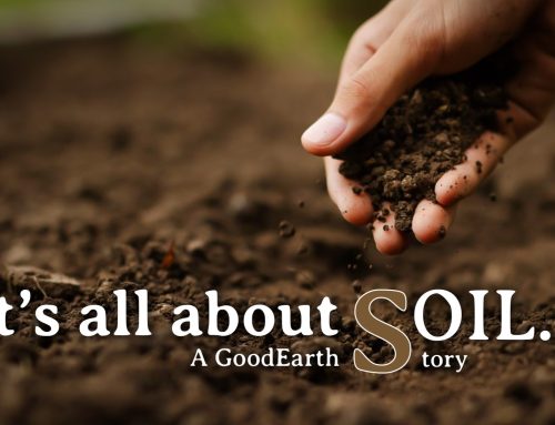 It’s all about SOIL – A GoodEarth story…